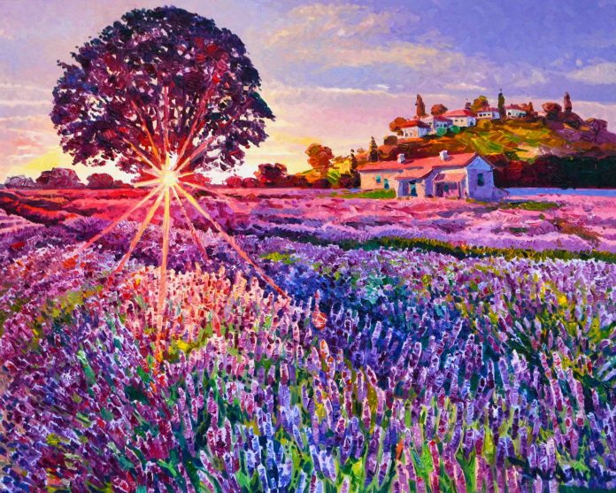 80 X 100 IL SOLE ILLUMINA ALL ALBA LA LAVANDA1
