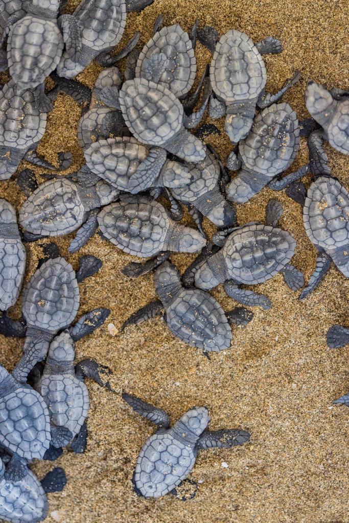 52d6c85f-213c-45ca-a911-fd08b1f1f9be