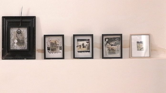 mostra alma bookshop musticiu