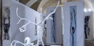 Yuval Avital. Bosco di Lecce: prorogata la mostra che riduce il divario tra uomo e natura