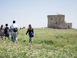 Photo Credit: Consorzio Torre Guaceto