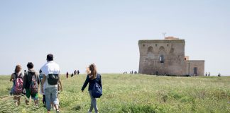 Photo Credit: Consorzio Torre Guaceto