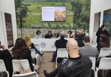 Vinitaly 2026. Enoturismo e formazione: la nuova strategia della Puglia per il vino del futuro