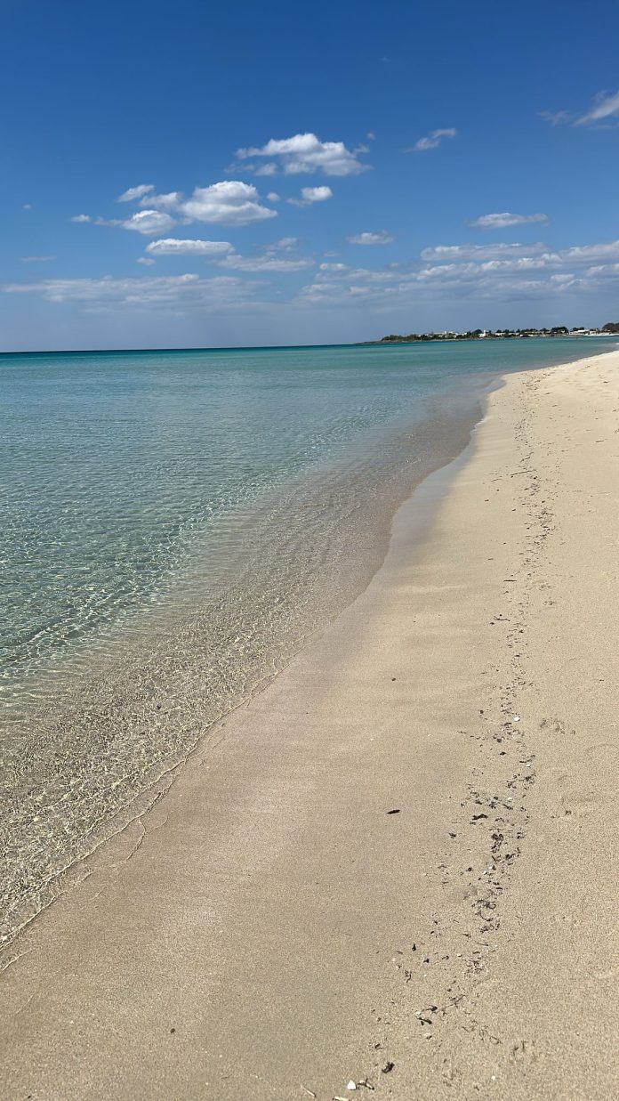 mare