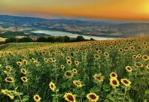 Carlantino (Fg) abbraccia la sua terra: torna la Festa degli Agricoltori